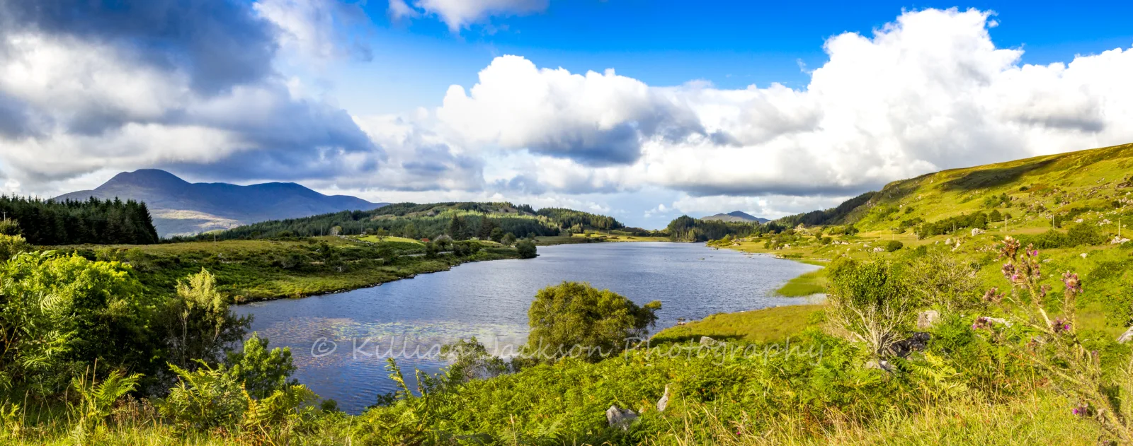 Lough Looscaunagh