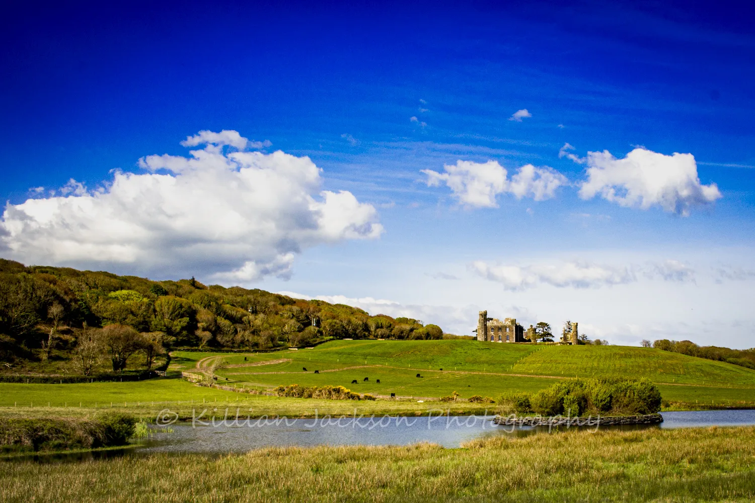 Castlefreke