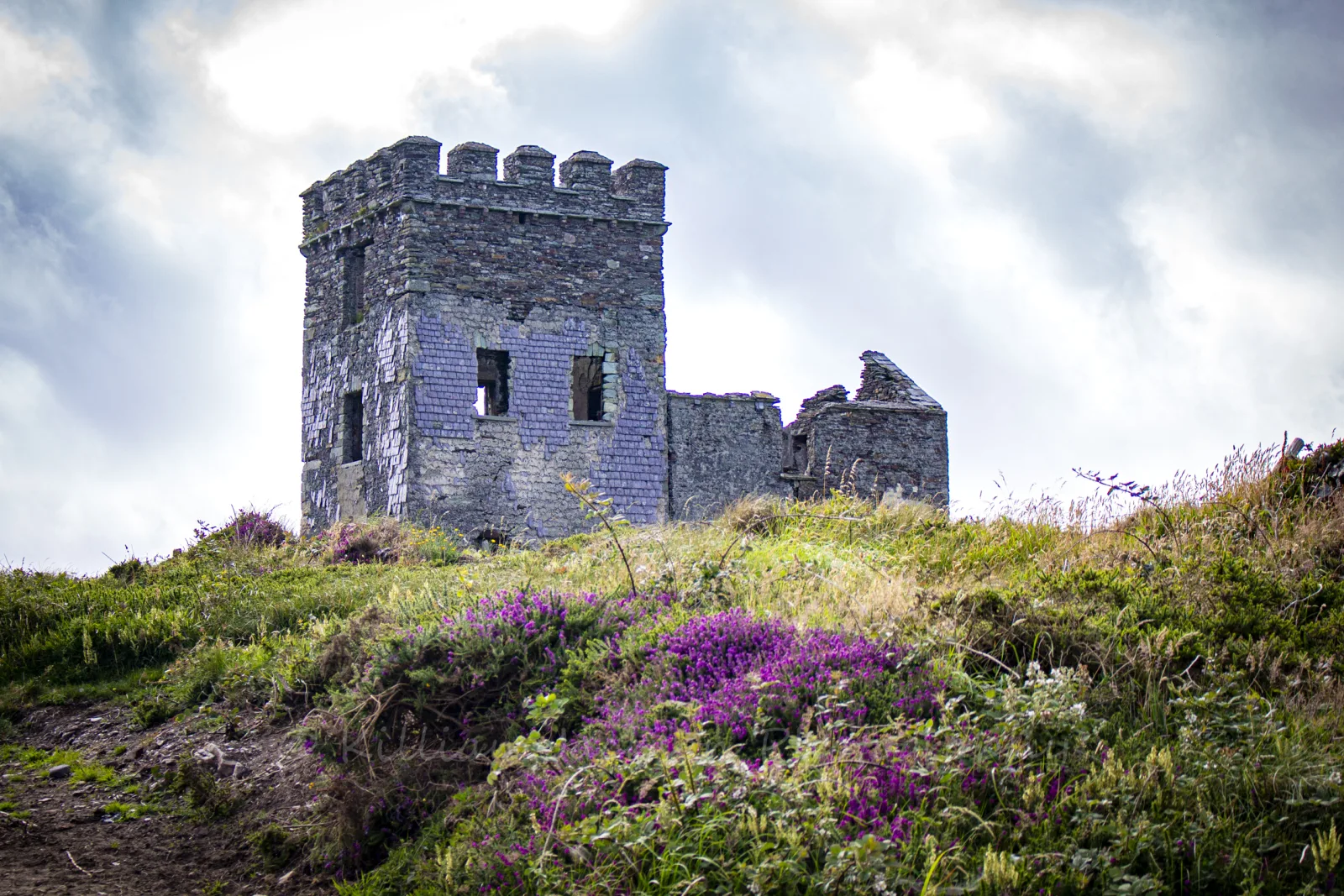 Toe Head Signal Tower
