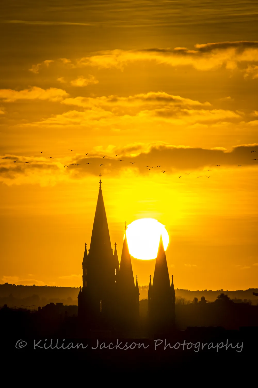 St. Finn Barrs Cathedral at Sunset