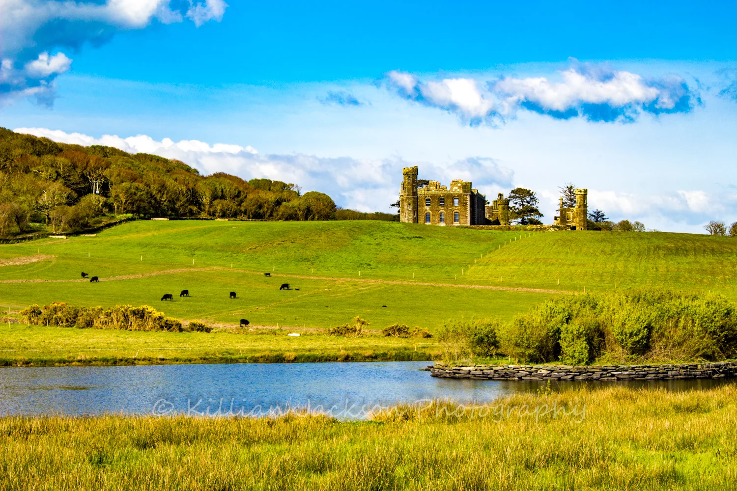 Castlefreke