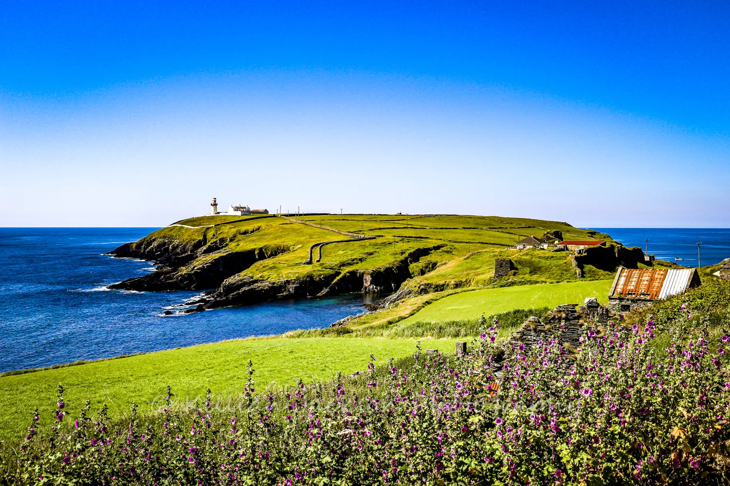 Galley Head Lighthouse