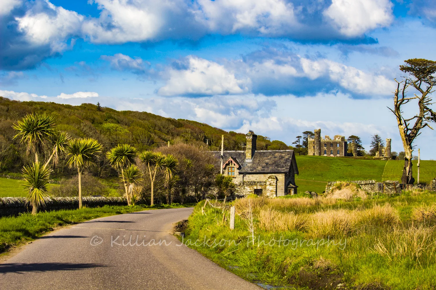 Castlefreke