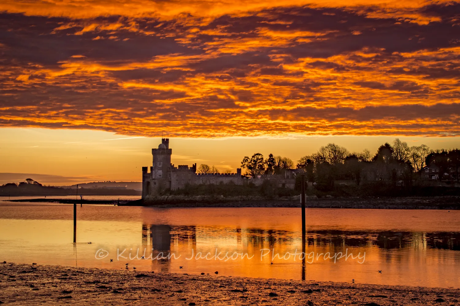 River Lee Sunrise
