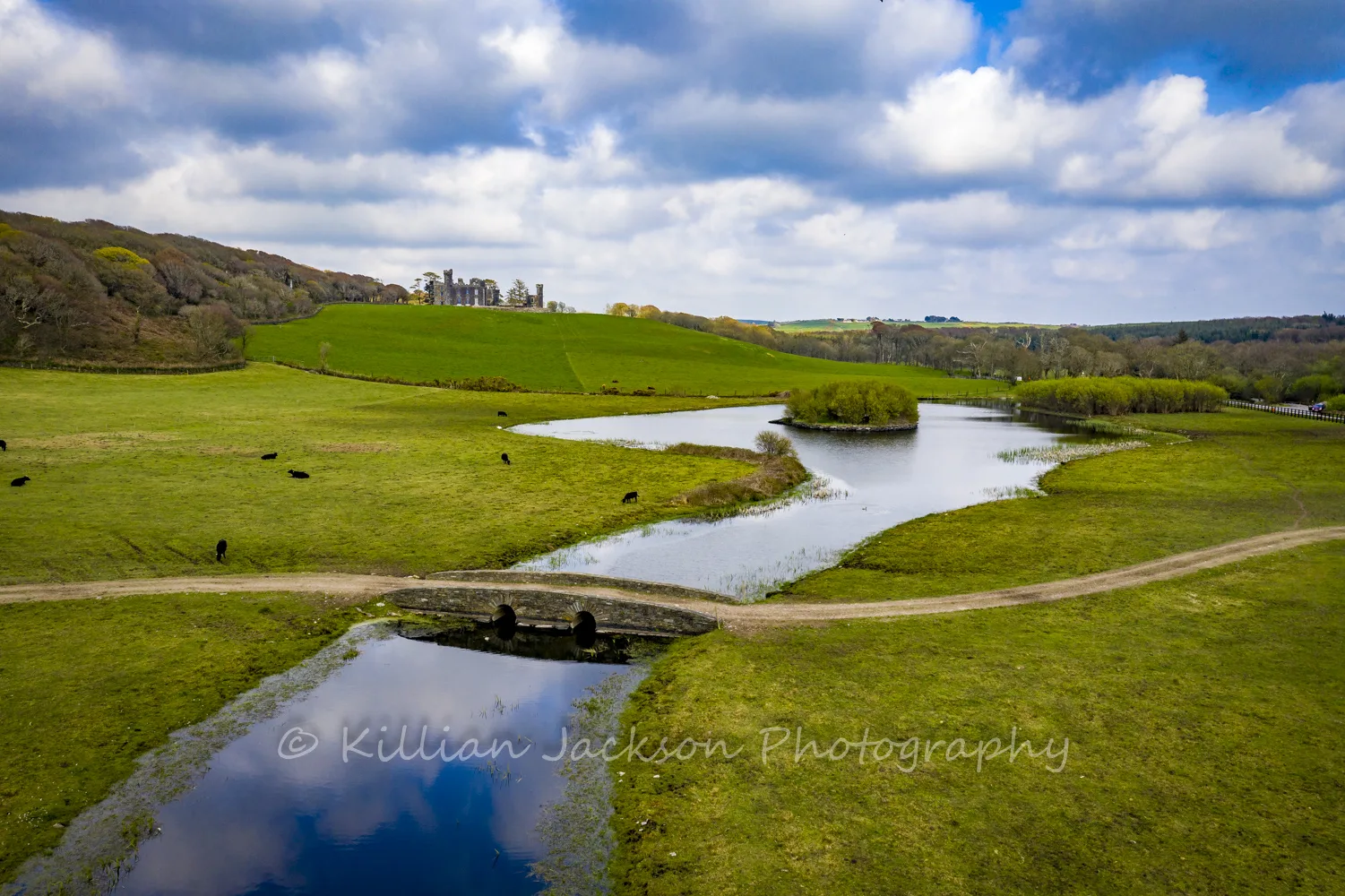 Castlefreke