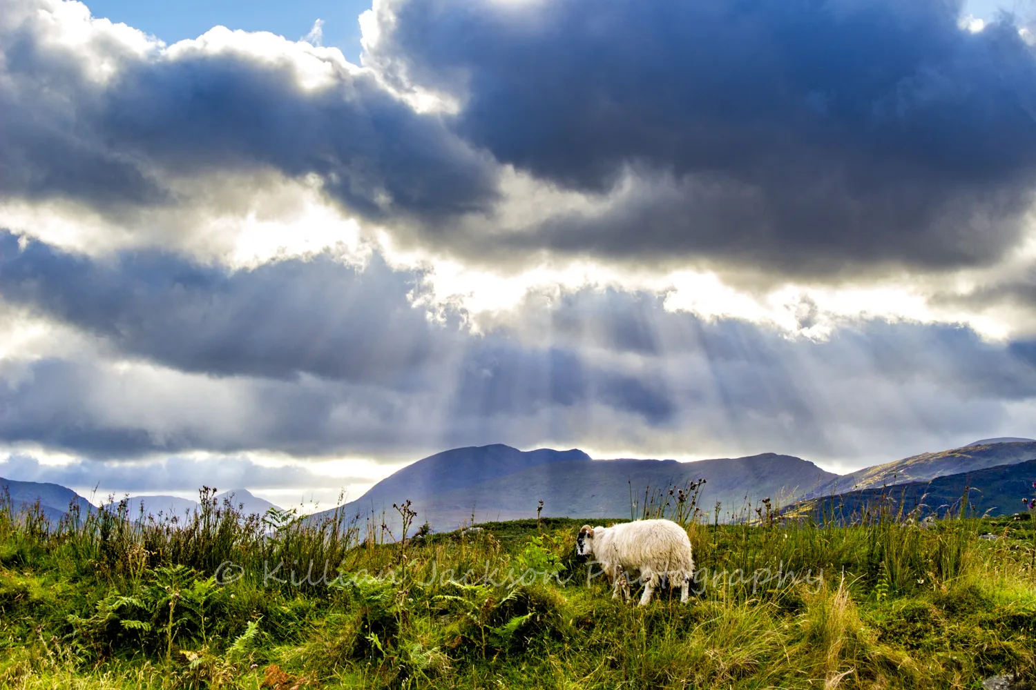 Ring of Kerry