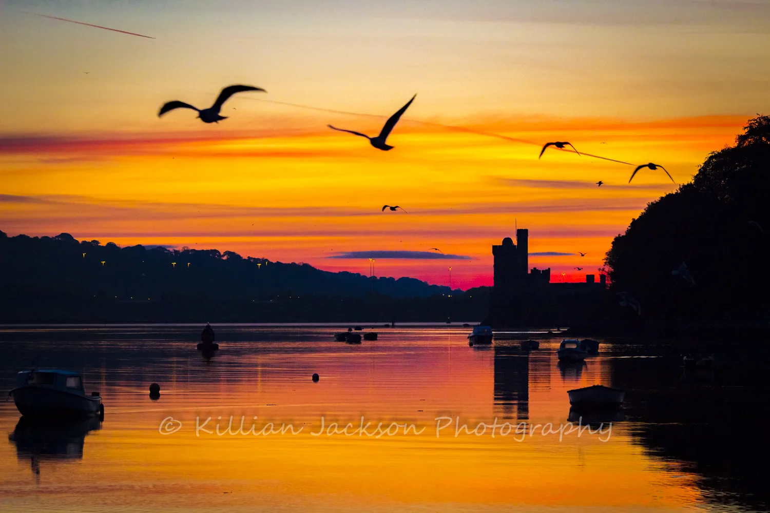 River Lee Sunrise