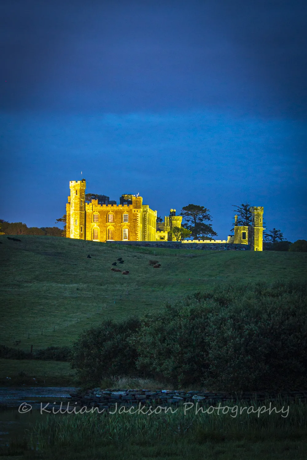 Castlefreke at Night