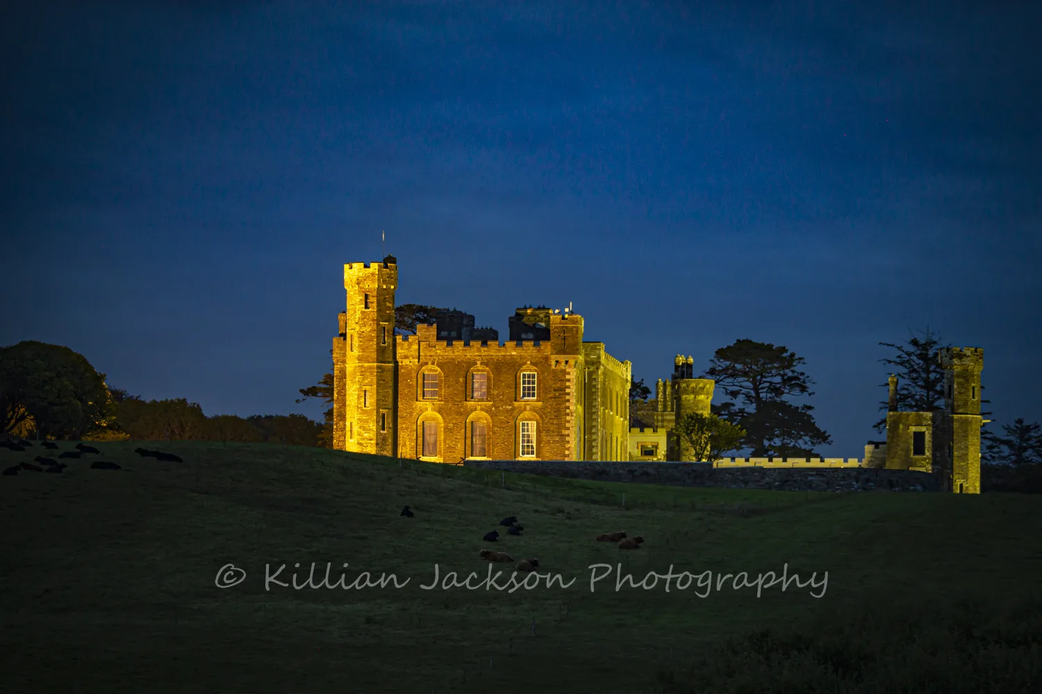 Castlefreke at Night