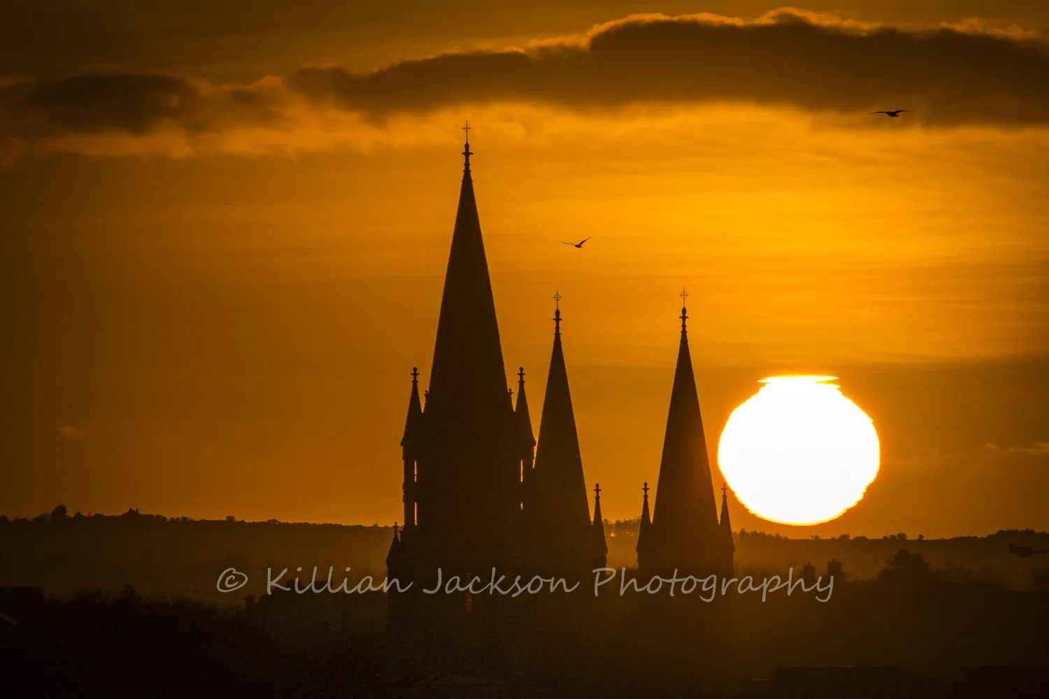 St. Finn Barrs Cathedral at Sunset