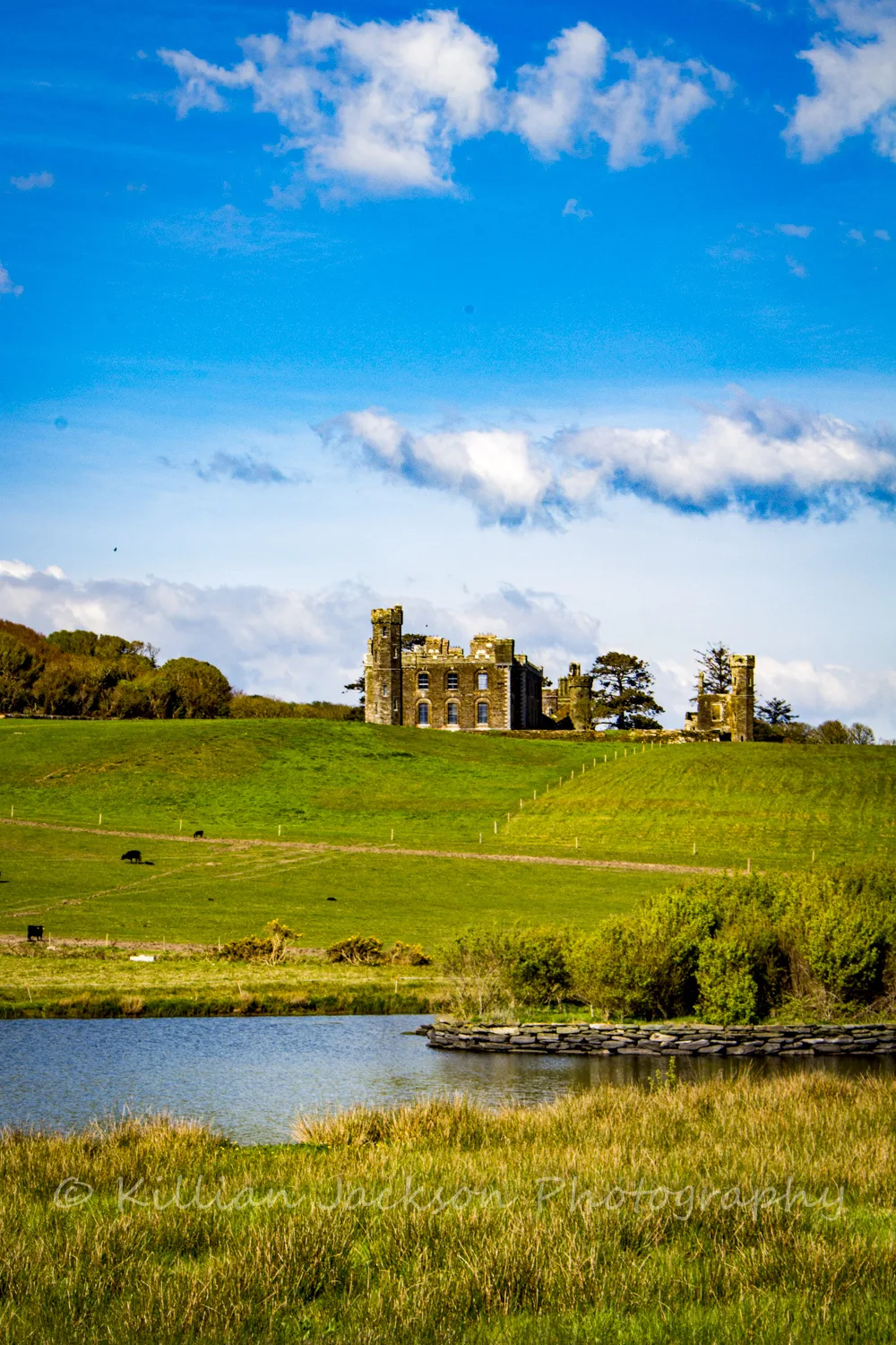 Castlefreke