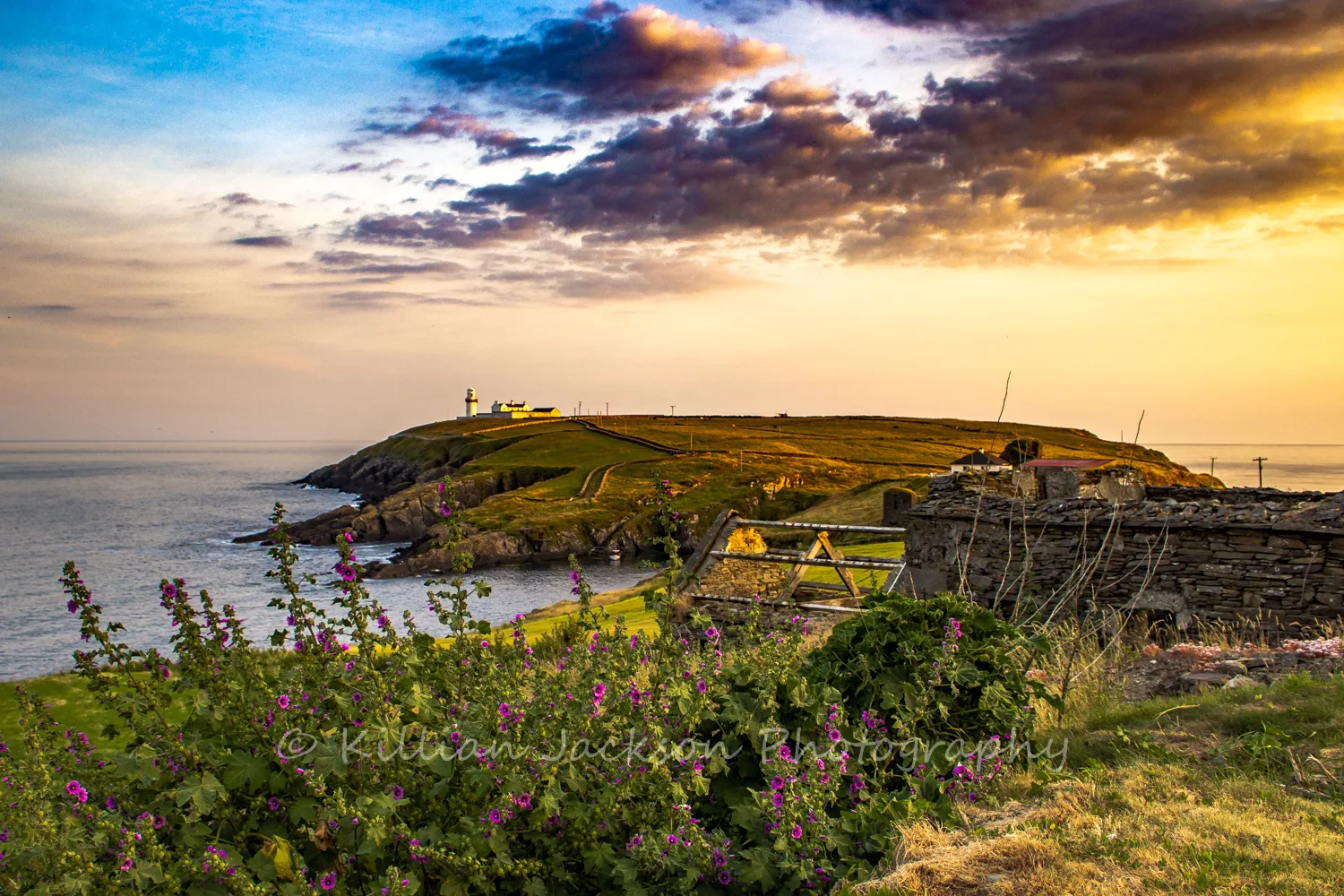 Galley Head at Sunset