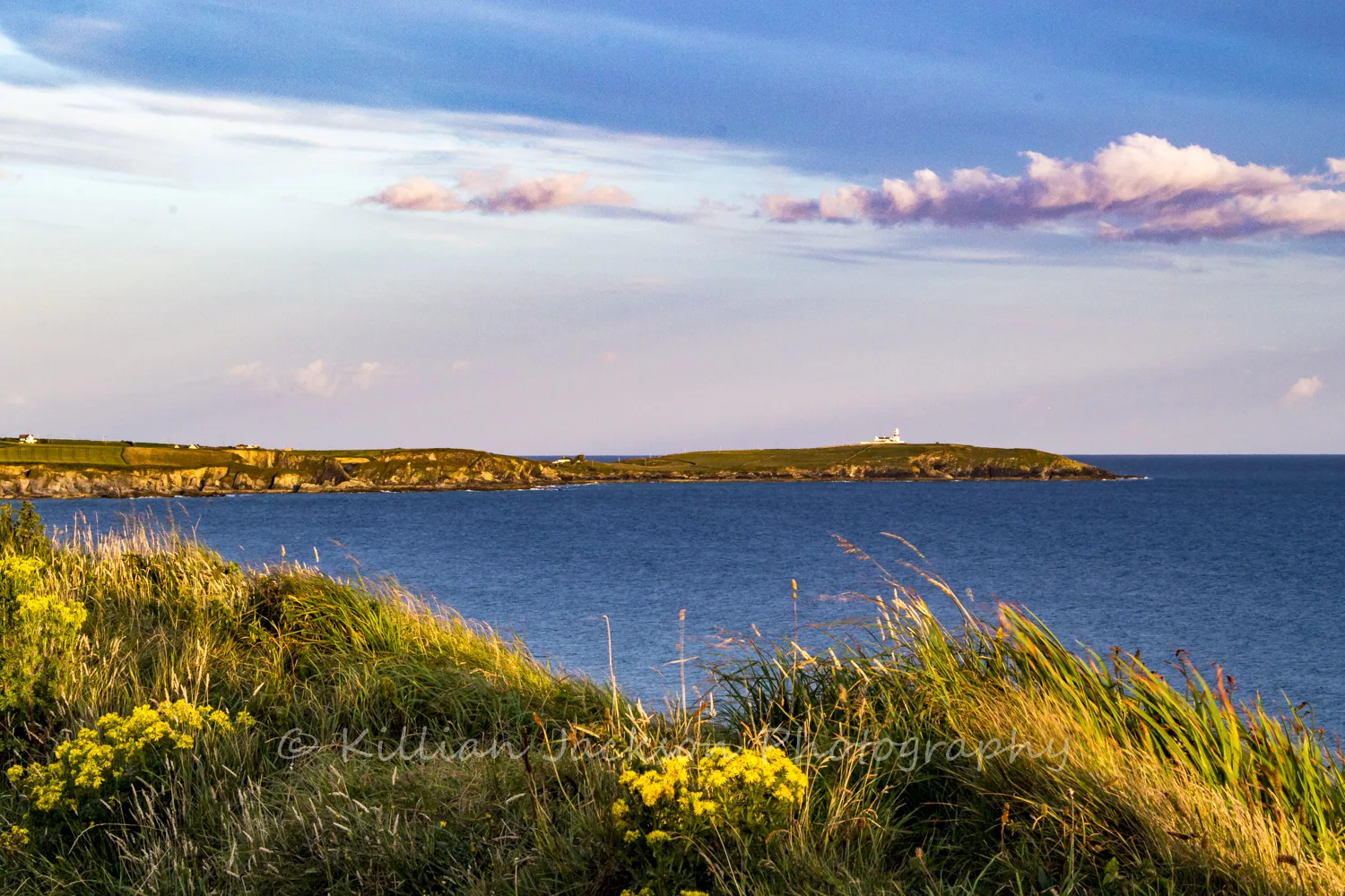 Galley Head