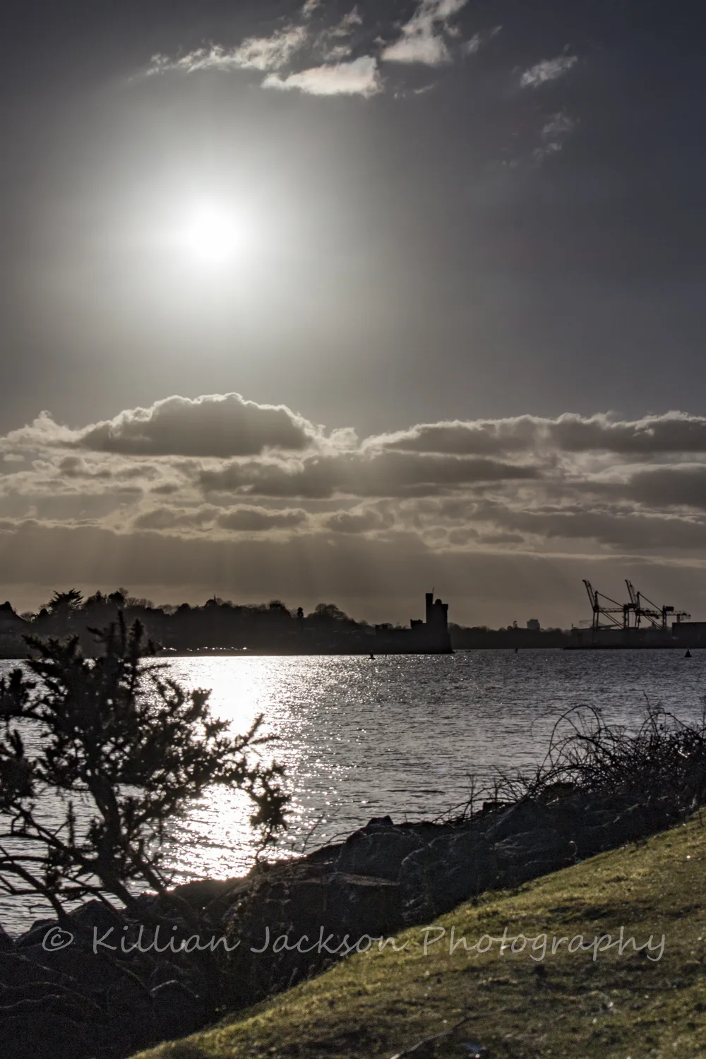 Blackrock Castle from Little Island