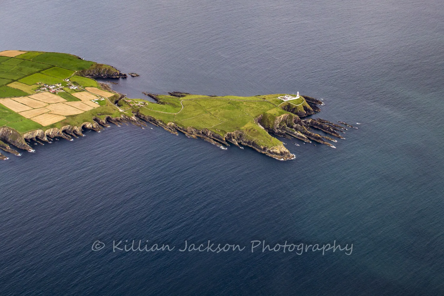 Galley Head