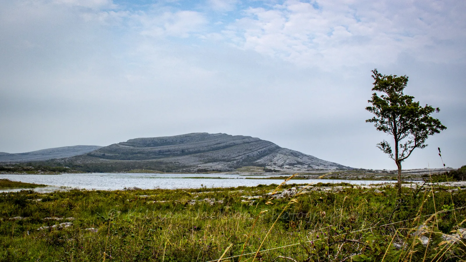 Burren National Park