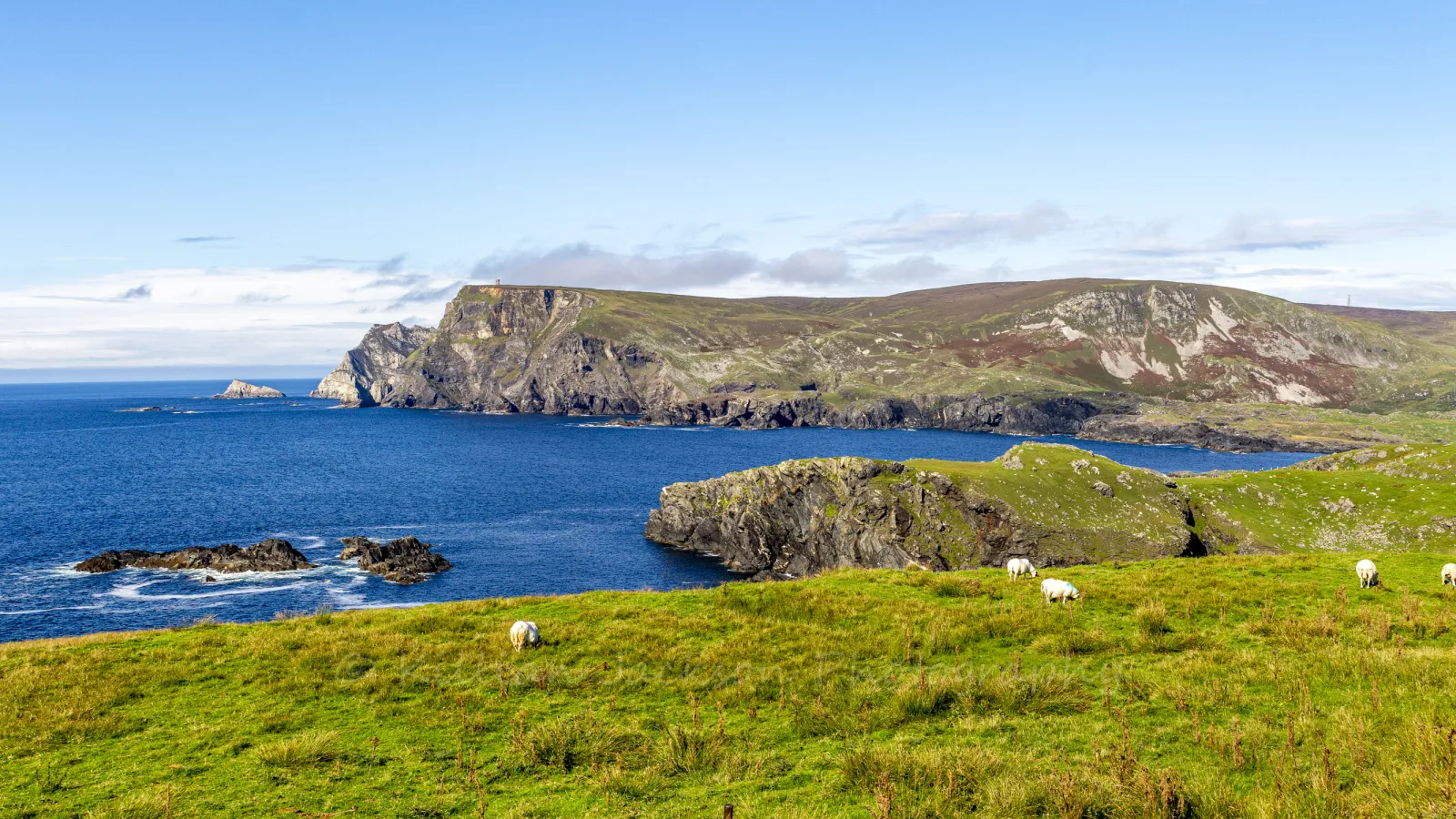 Glen Head