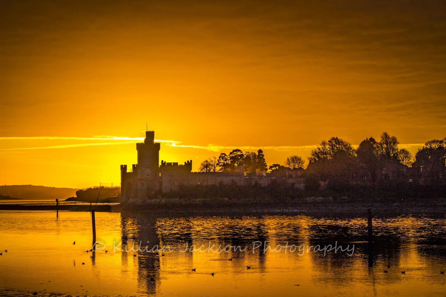 River Lee Sunrise