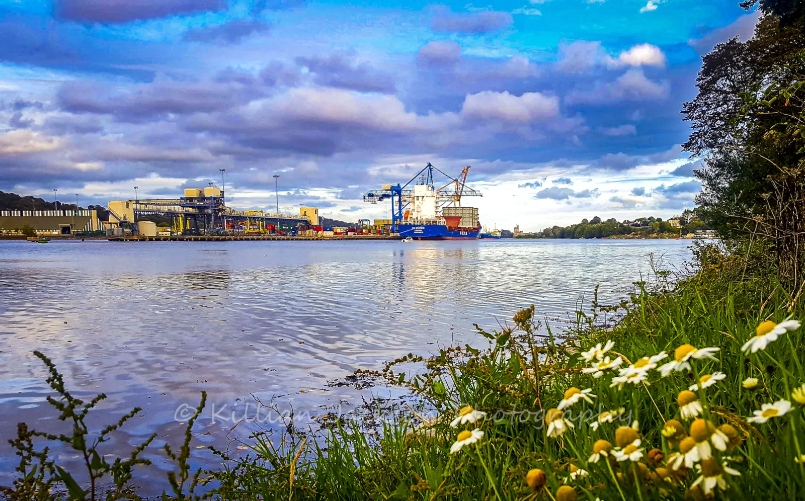 River Lee