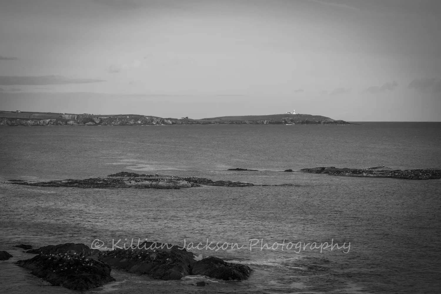 Galley Head